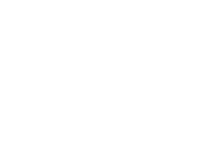 Ecran Village